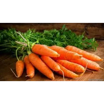 Organic Red Carrot